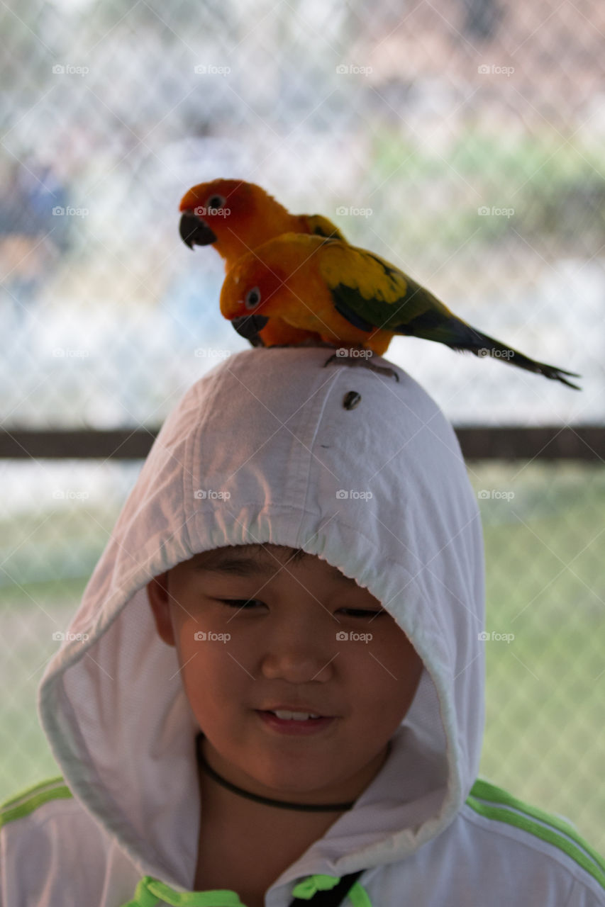 Bird on the head 