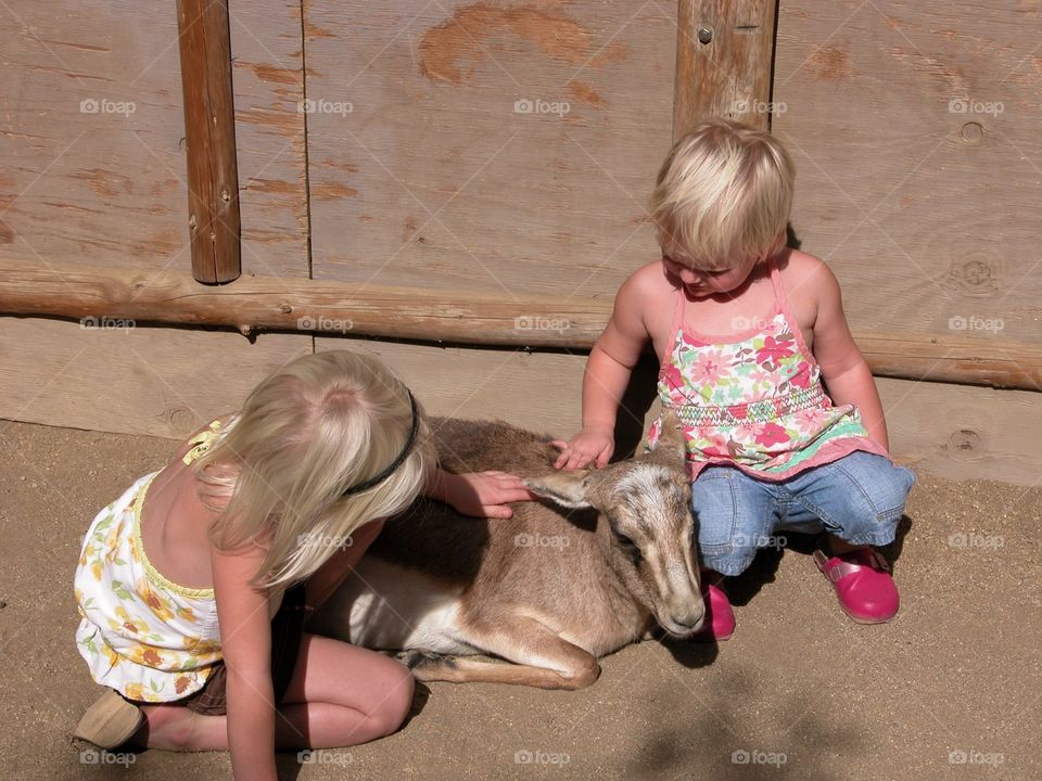 Day at the petting zoo