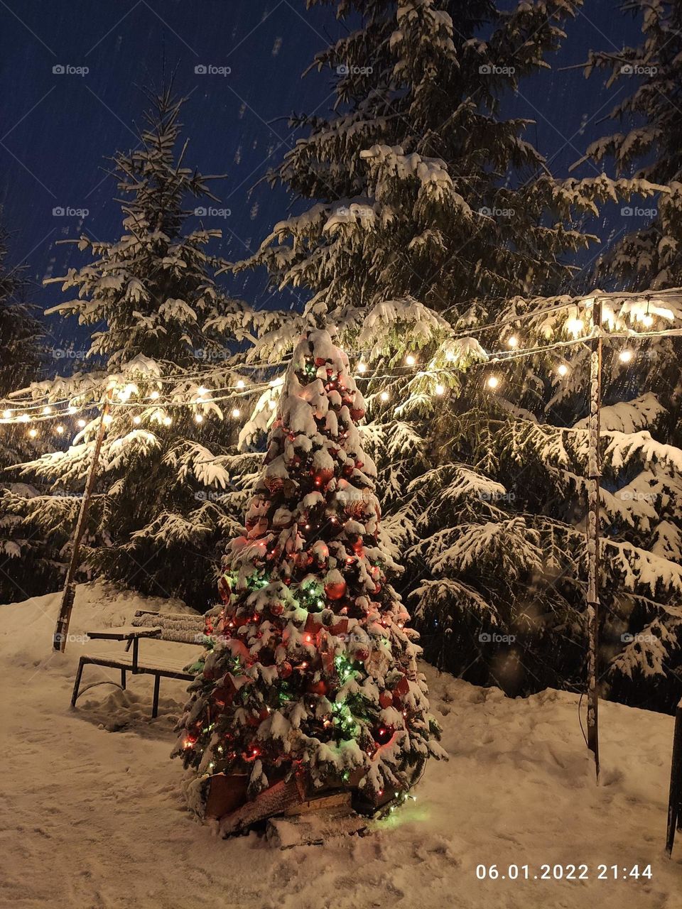 Carpathian mountains Christmas