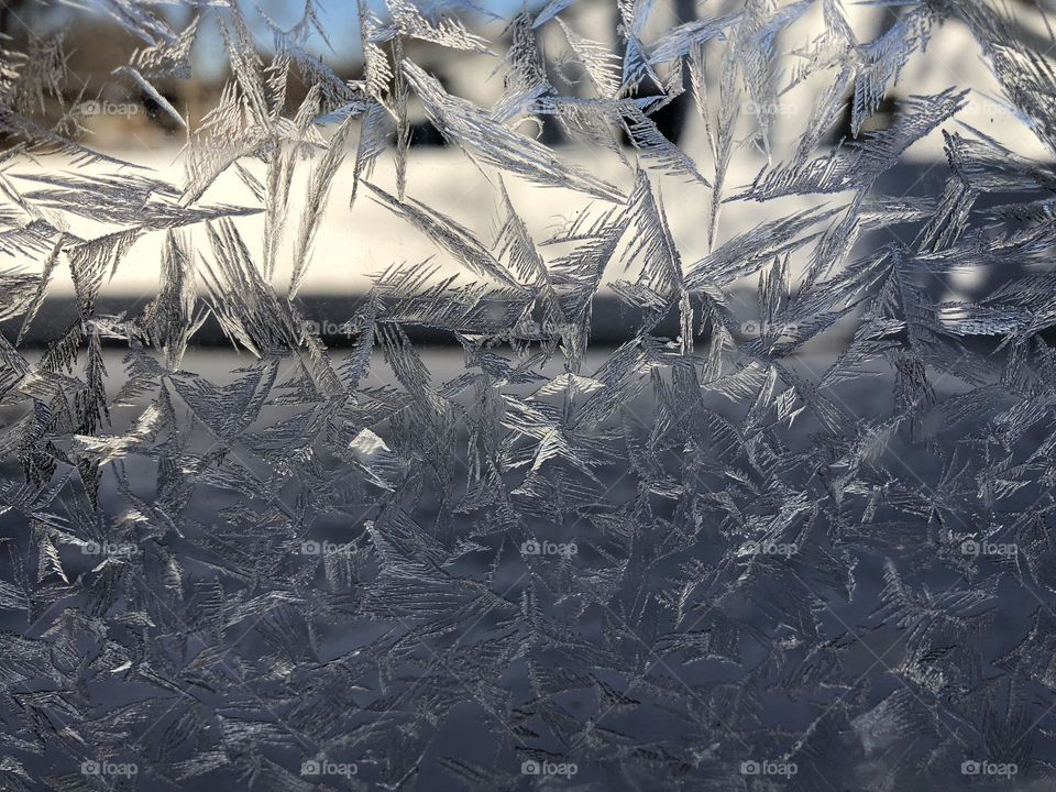 Frost crystals on a window pane