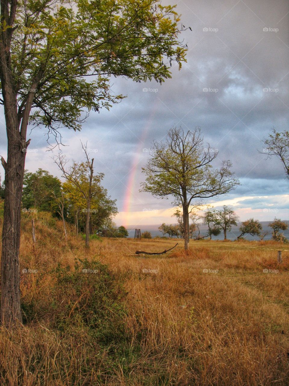 rainbow nature радуг