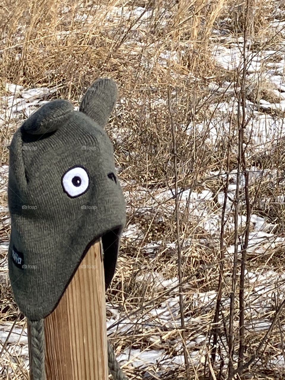 Winter ear hat with eyes on a pole in a winter landscape
