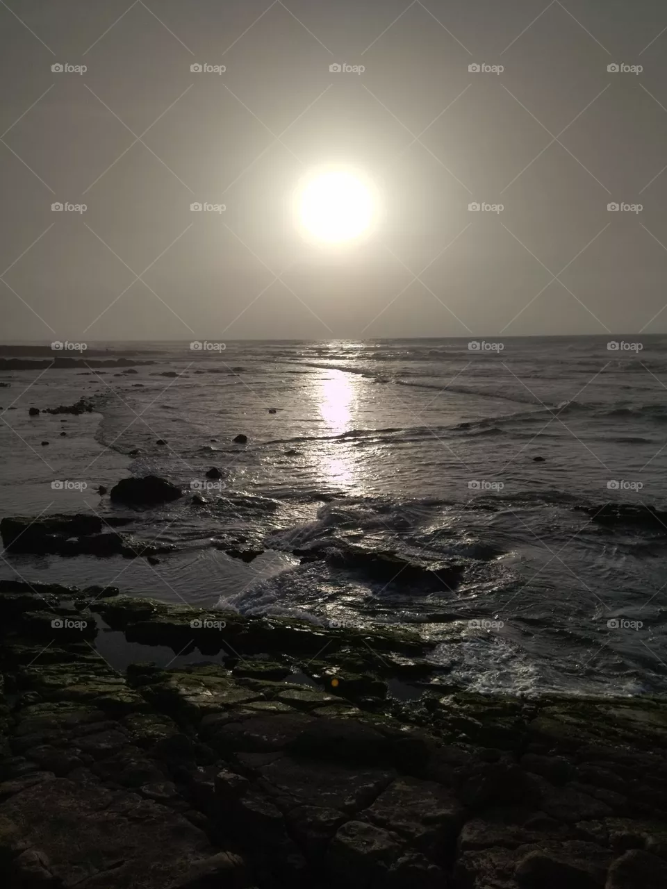 sun and sea