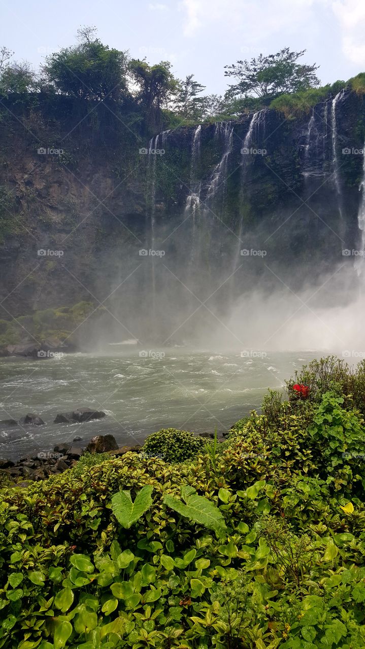 Scenic view of waterfall