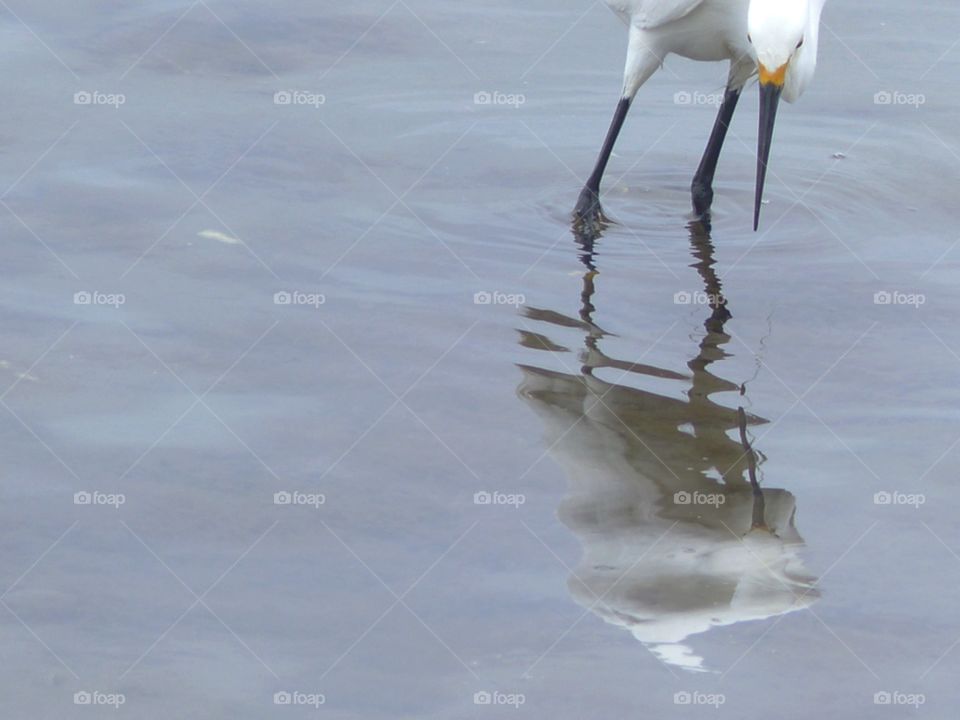 Fishing reflection