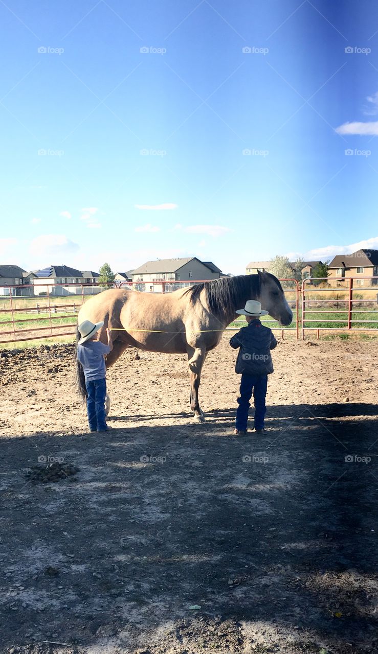 Boy measuring horse