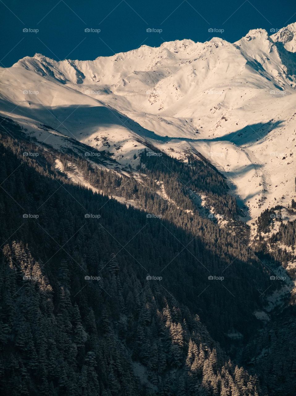 art of shade of beauty