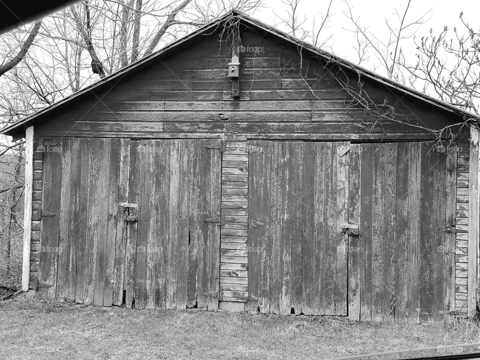 Driving the back Roads and enjoying everything around us