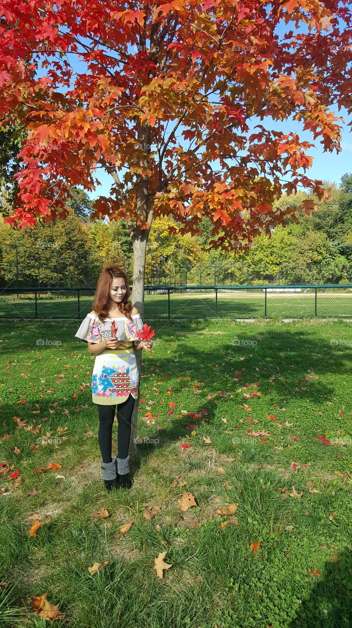 Autumn in New York City. 🍂🍁🍂🍁🍁🍂🍁
