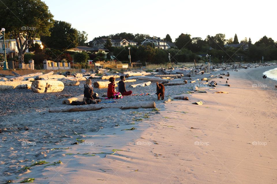 People meditating on the beach