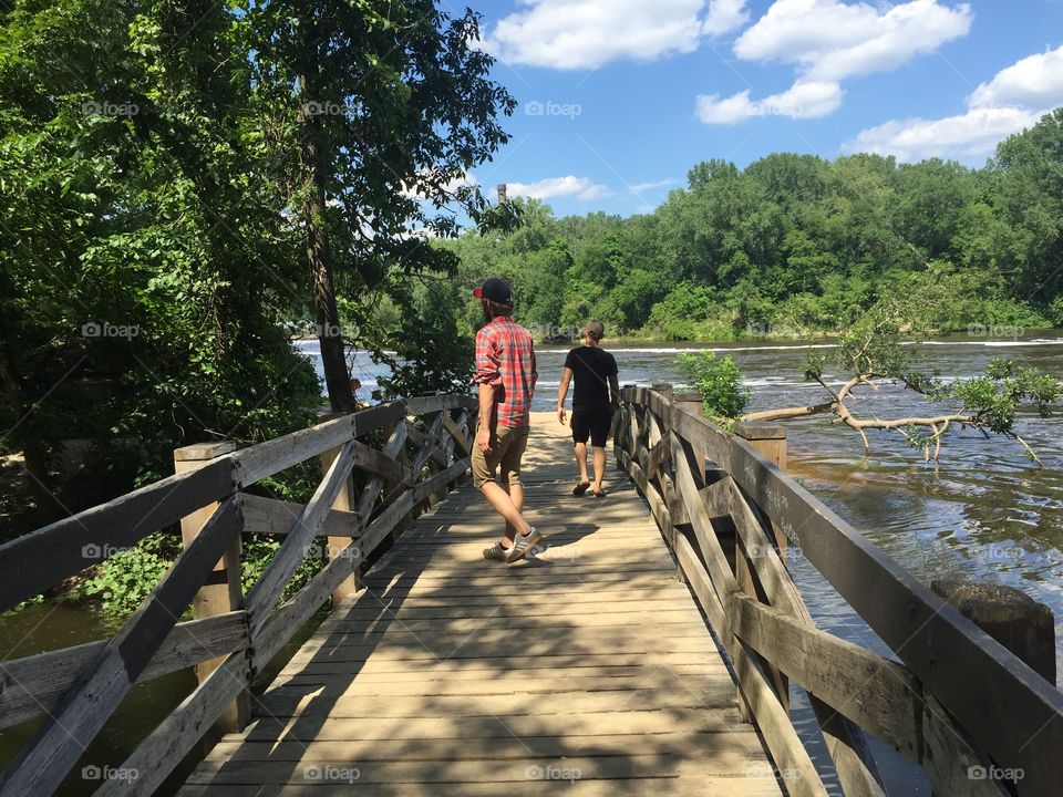 Water, Bridge, Wood, Tree, Footbridge