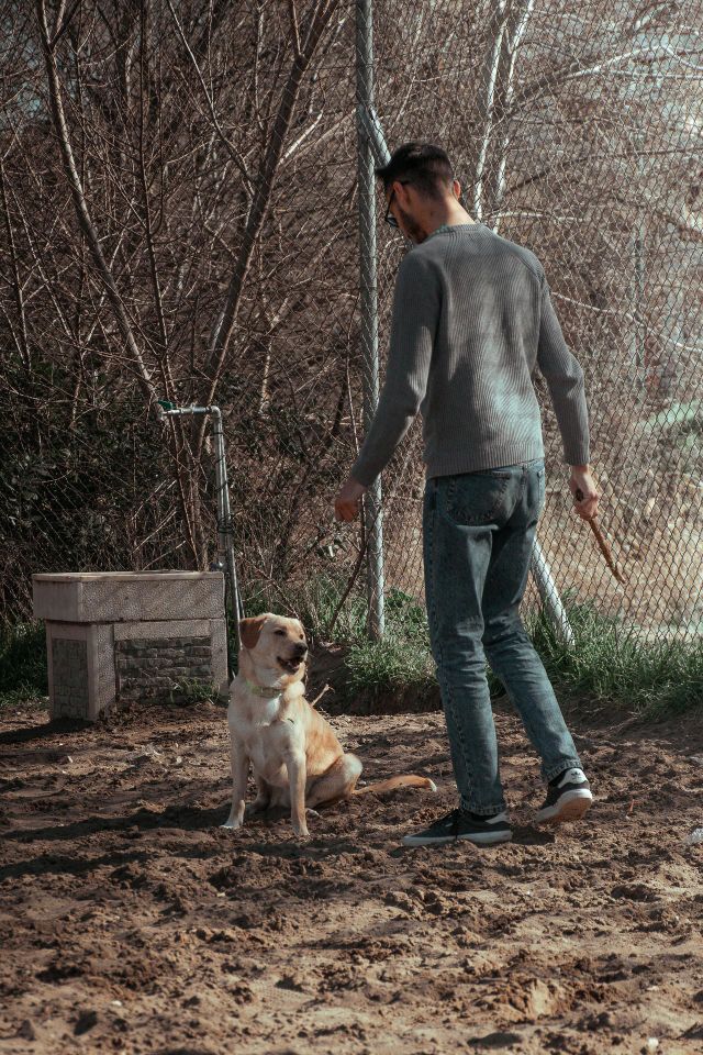 Dog park