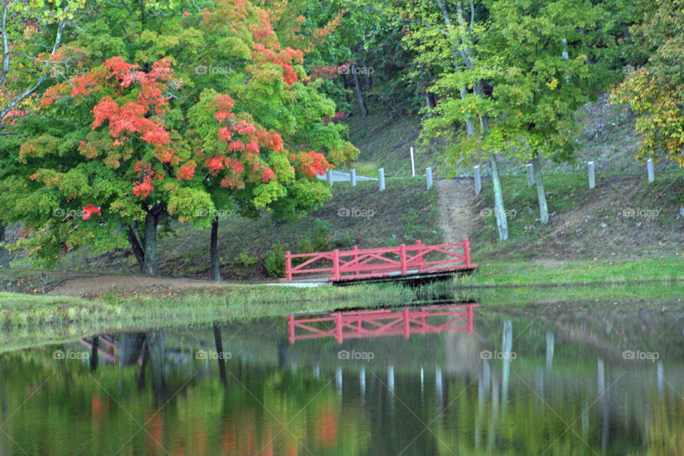 Fall colors and bridge
