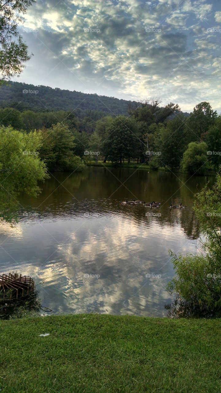 Water, No Person, Landscape, River, Tree