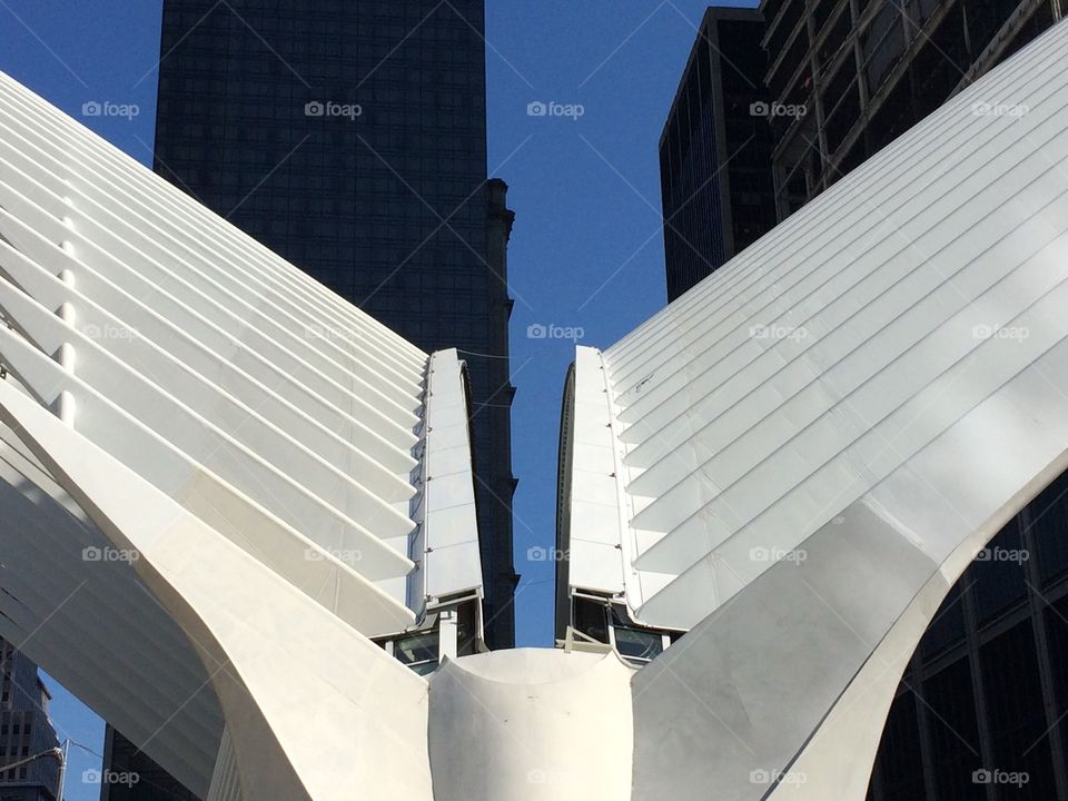 Oculus building with open rooftop, new york city