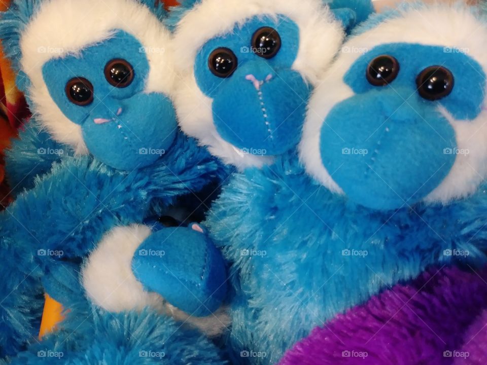 Three blue plush monkeys