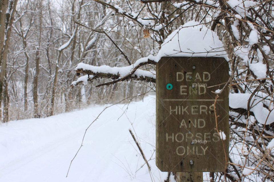 Snowy Trails