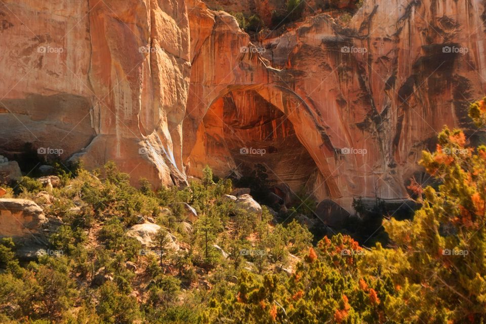 La Ventana Natural Arch 