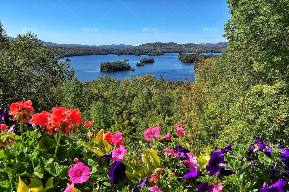 Flowers and mountains