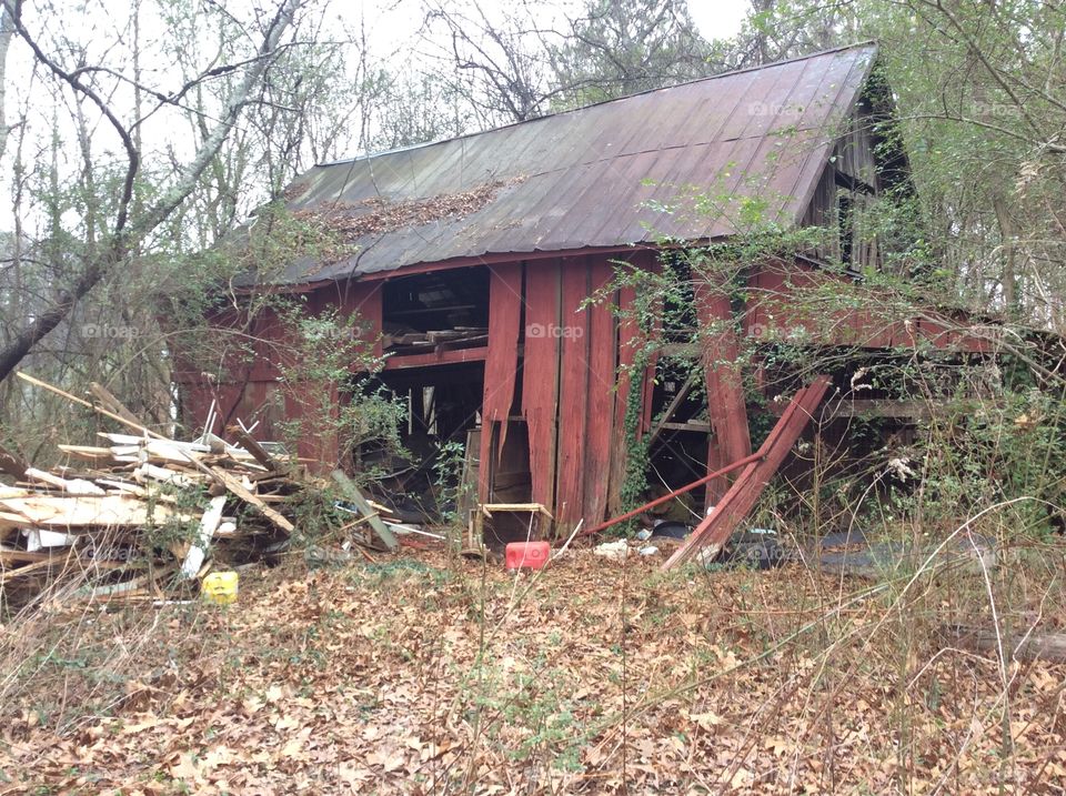 Old shed