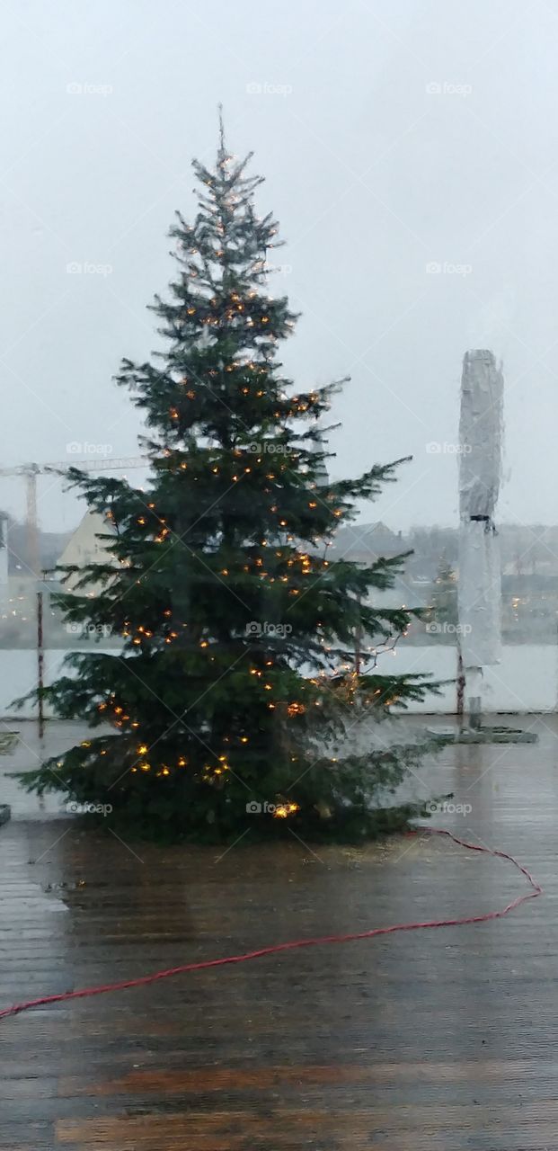 Tannenbaum christmas Weihnachten Hafen Wasser See outdoor draußen