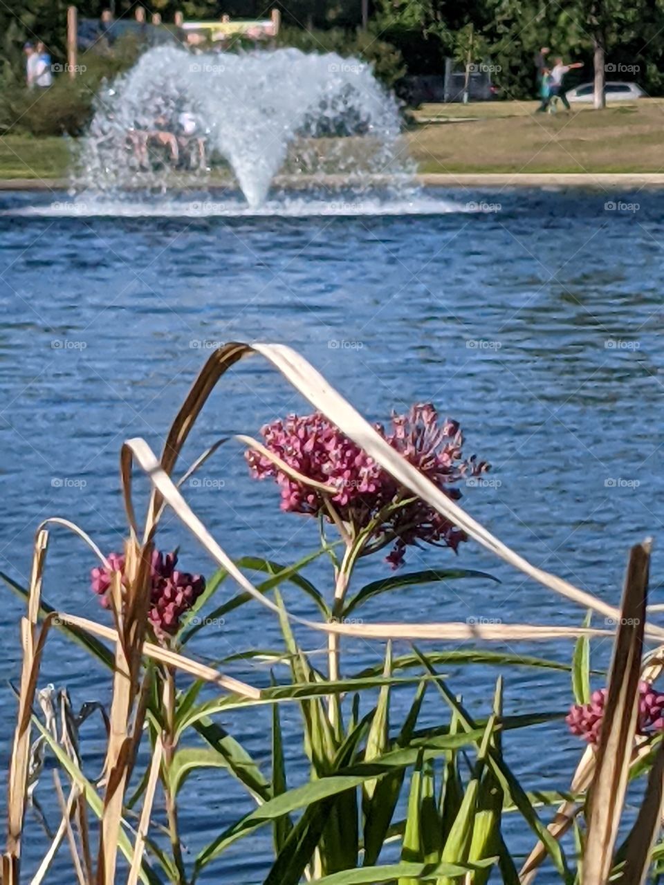 look at the beautiful fountain on this lovely day