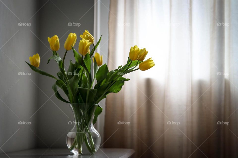 Bouquet of yellow tulips in a glass vase