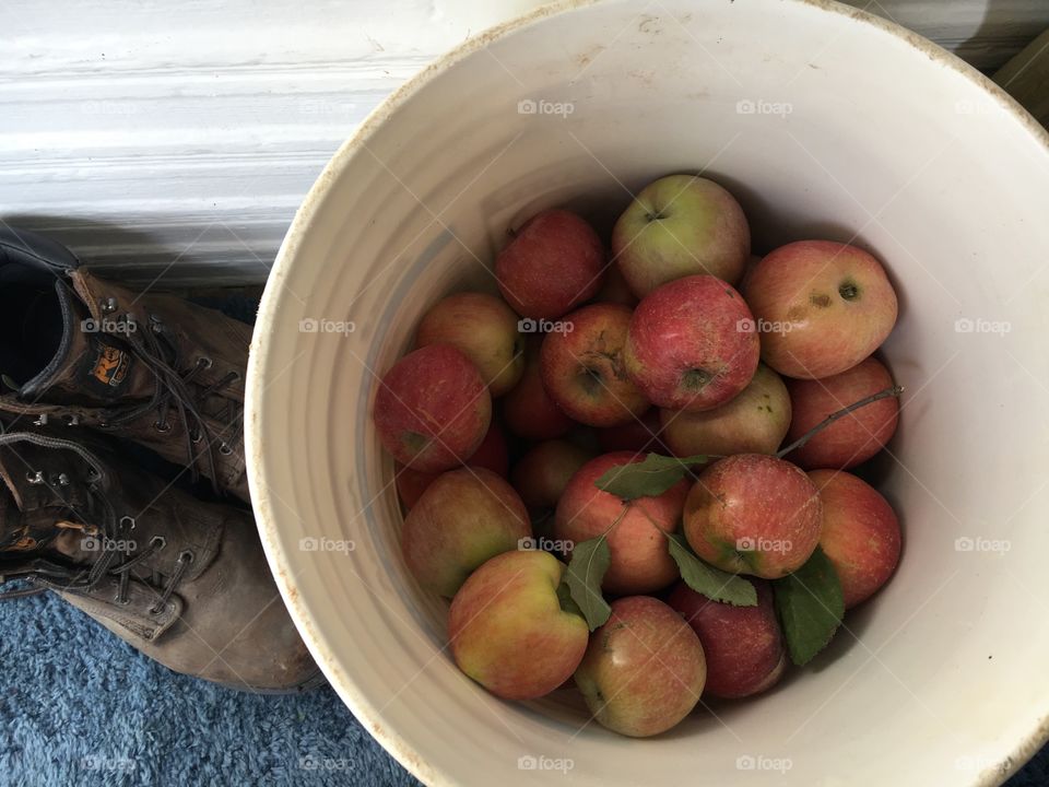 Bucket O' apples