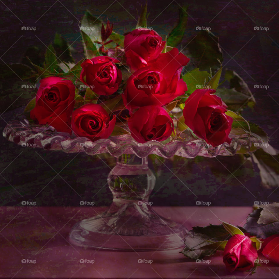 Valentine’s red roses