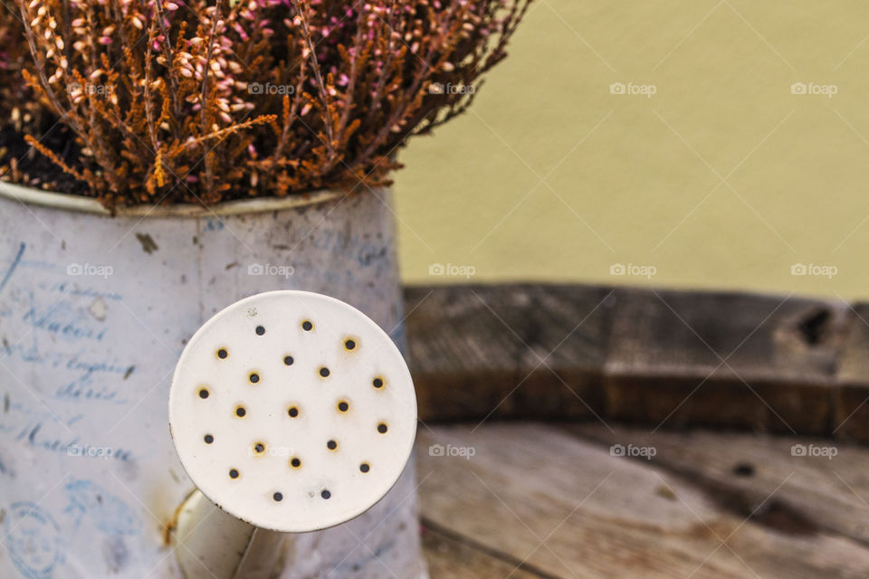 Close-up of a watering can full of dried lavender flowers