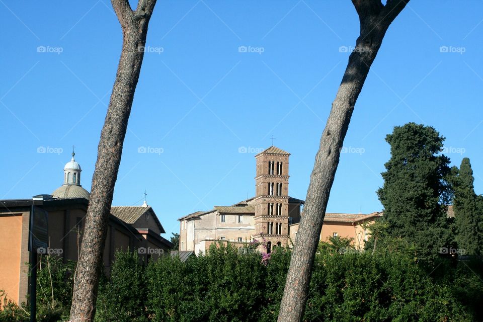 View from roman gardens, with a great cathedral below trees.