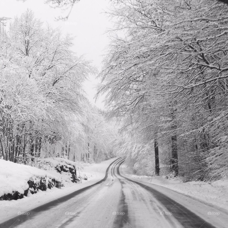 View of road in winter