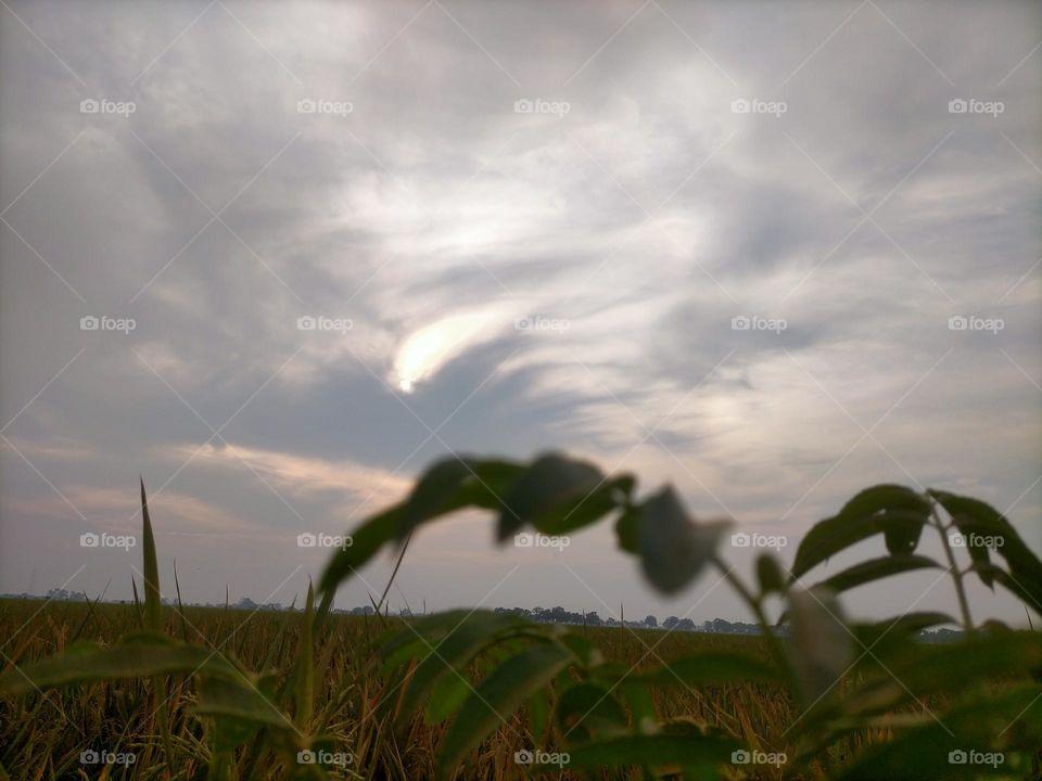 The sun is covered by clouds