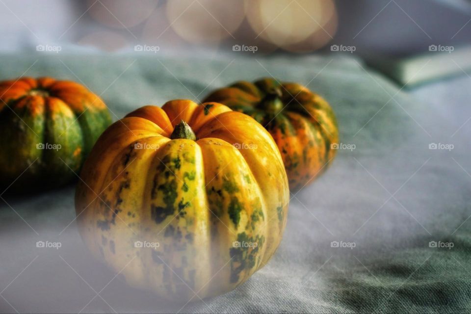 Three colorful pumpkins on gray pillows in smoke against an illuminated background and book 