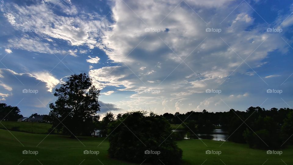 No Person, Golf, Landscape, Tree, Outdoors
