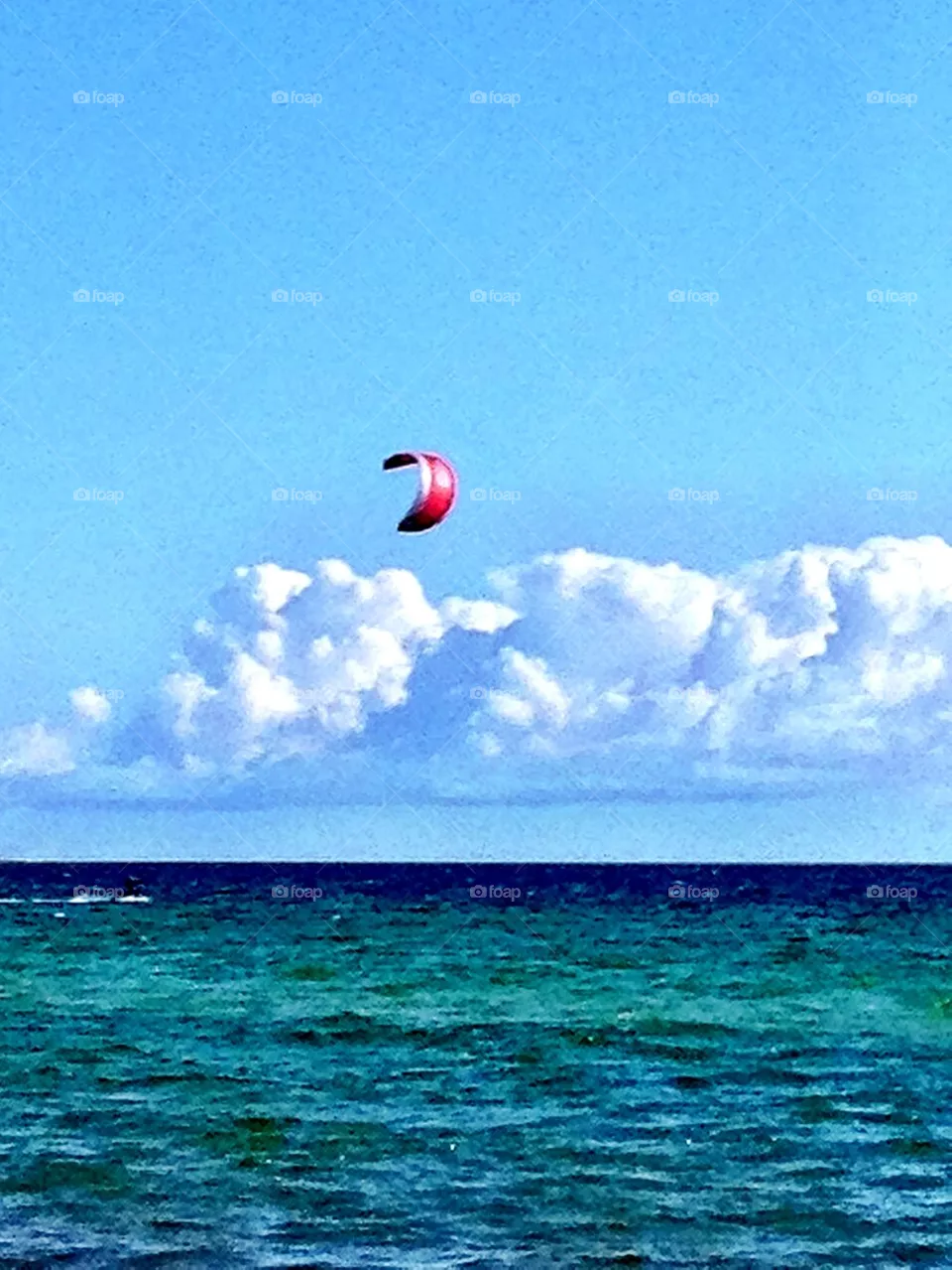 Fly away