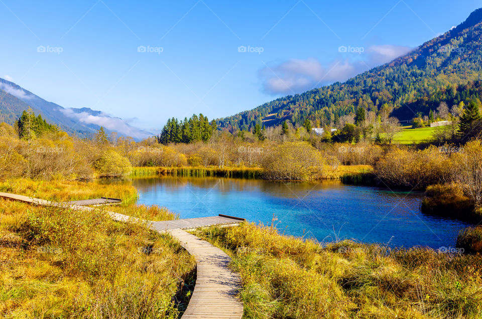 Boardwalk near lake