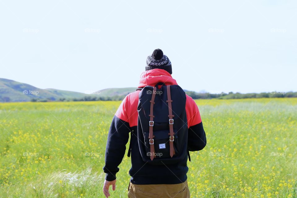 Rear view of man standing in canola field