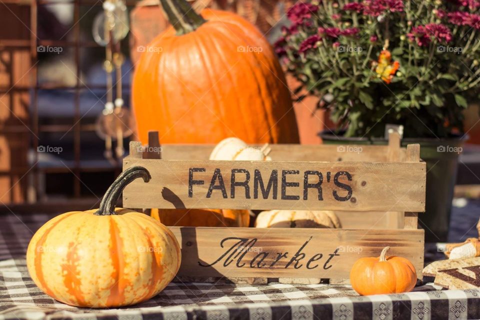 Pumpkin picking at the local farmers market for autumn fall 