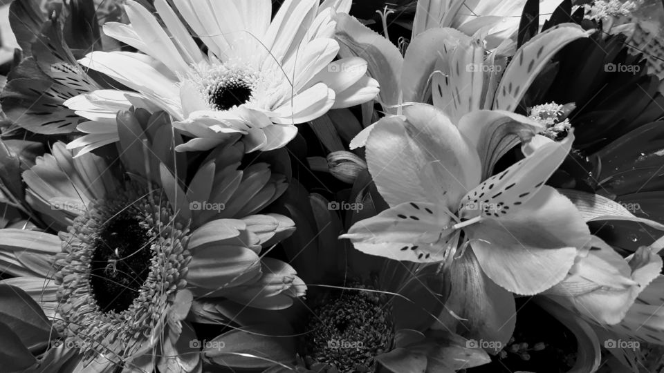 Flowers and roses from a bouquet to a very special person revealing their colors in black and white.