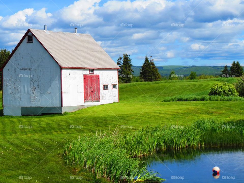 Watercolor in Real Life