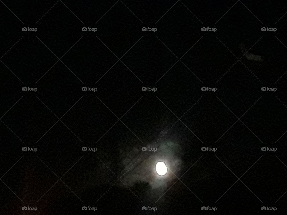 full moon thru trees