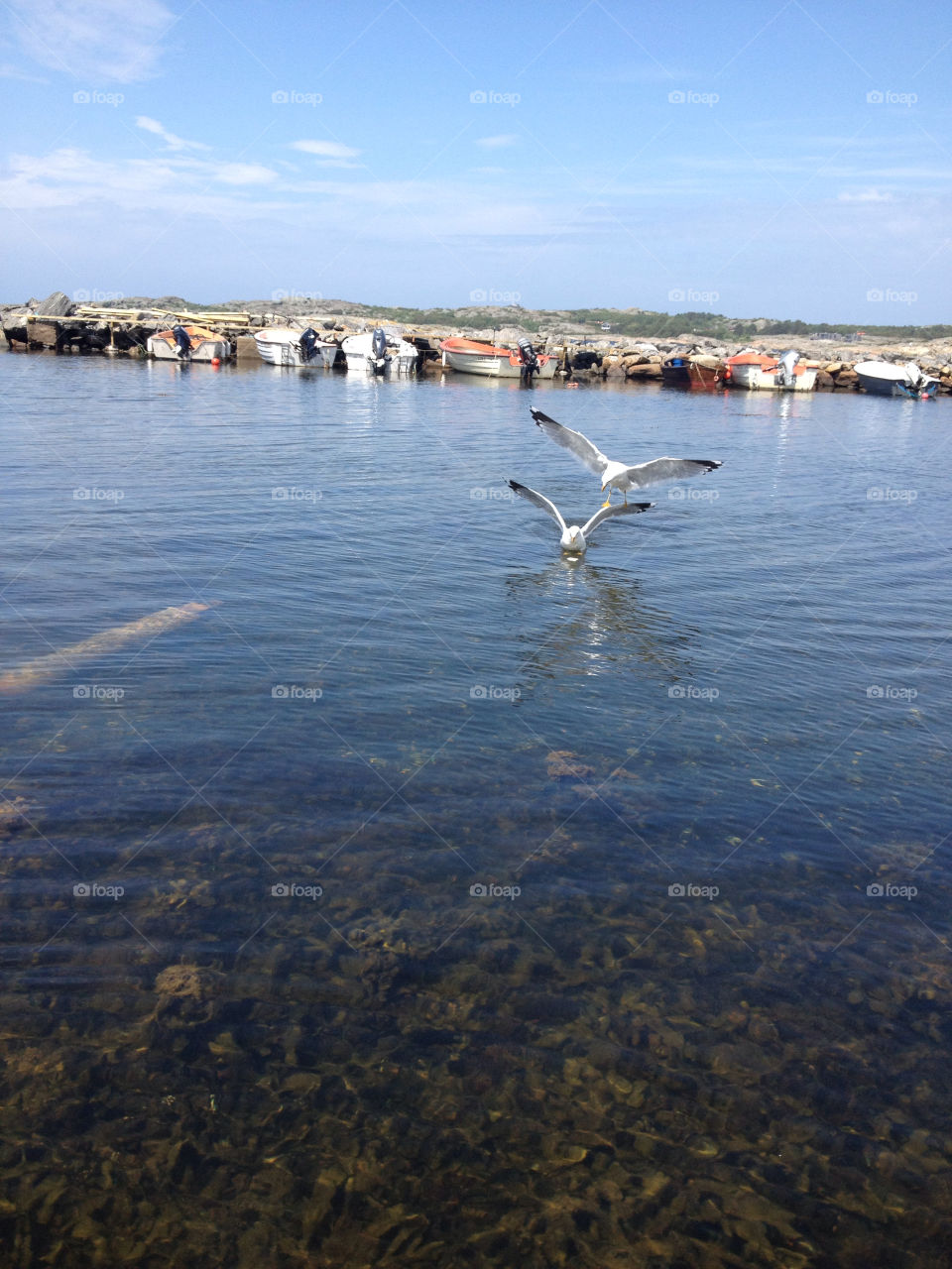 Natural harbour