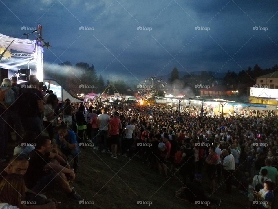 Concert Crowd