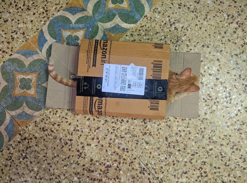 wrong delivery 😂🤣 I don't know.. she loves these boxes..