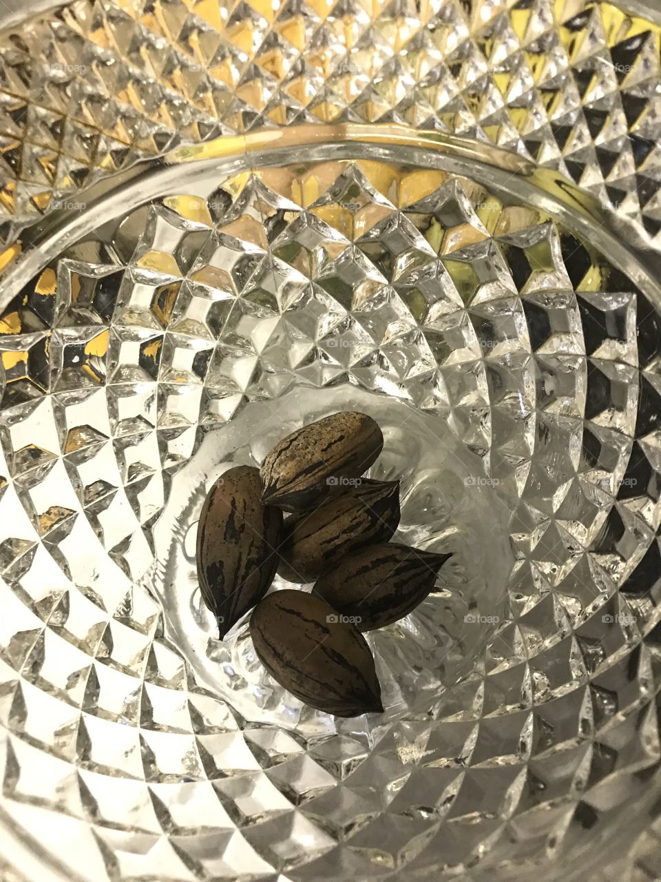 Beginning of pecan season in Georgia