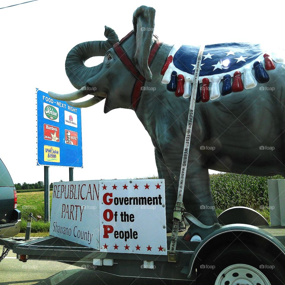 Odd Things You See While Traveling