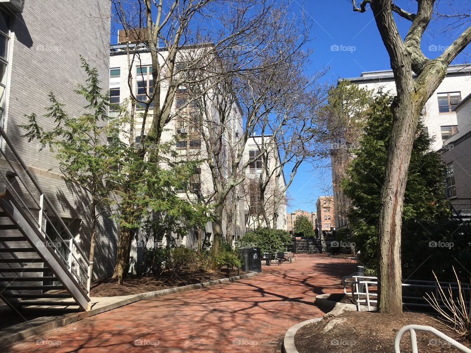 Northeastern University in Boston