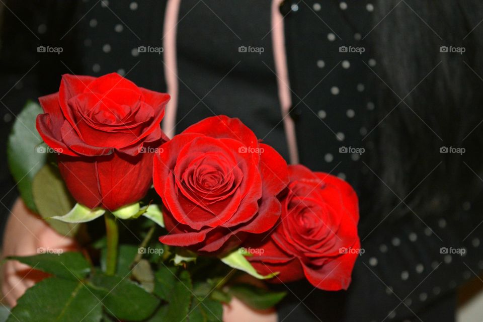 Rose, Flower, Romance, Love, Wedding