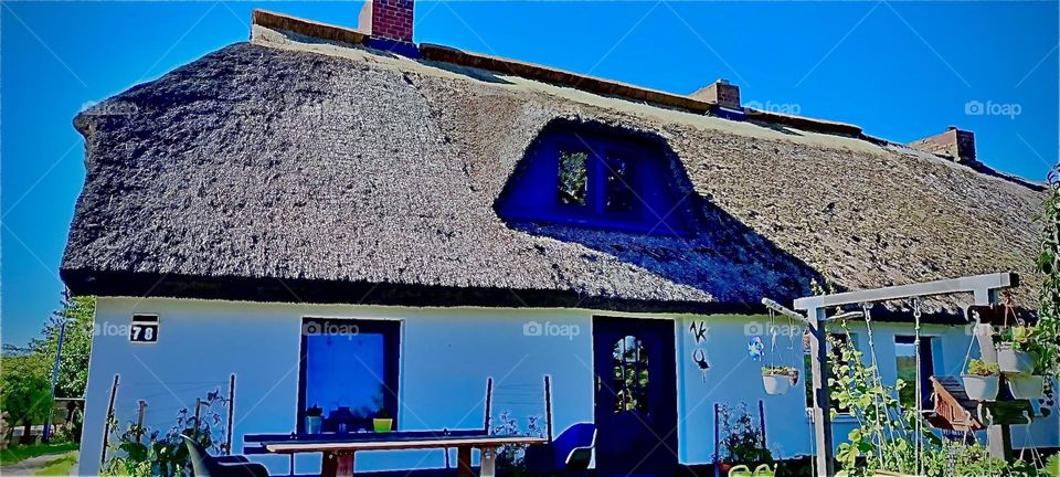 „Hiddensee“ is a small island off the coast of „Denmark“. A famous actress and artist by the name of „Astrid Nielsen“ lived here along with a group of artist friends in the 1920s. 2022. Hypnotic Productions